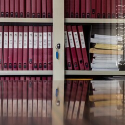 Diario della Costituzione