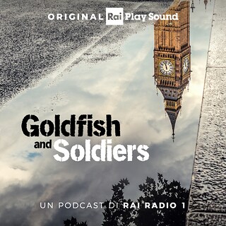 Copertina Goldfish and Soldiers