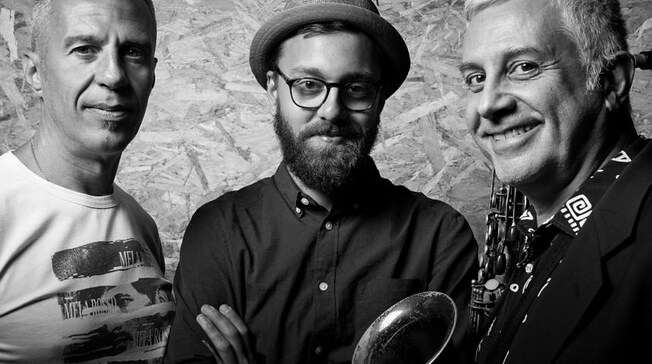 Maurizio Giammarco Syncotribe