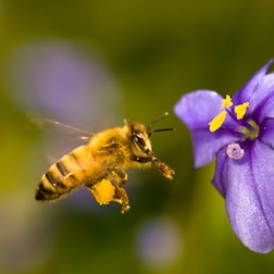 Lultima Spiaggia Rai Radio 1 Raiplay Radio