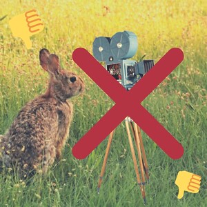 Dose e Presta - John Wick Vergognati - 08/04/19