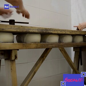 Social(è) - La Fresa di Ittiri