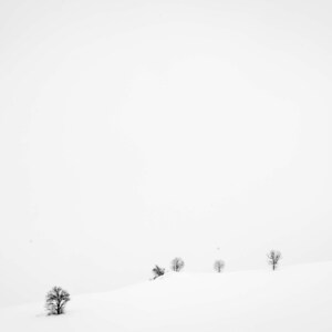 Soli. Storie di eremiti contemporanei