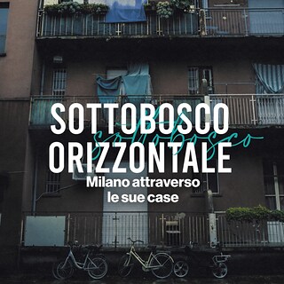Copertina Sottobosco orizzontale. Milano attraverso le sue case